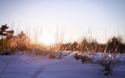 Åk på sportlovsläger 24-28 feb 2026!